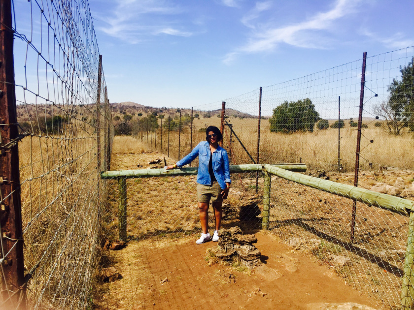 Photo of Lion and Safari park, Johannesburg SA 23/27 by Neha Chauhan