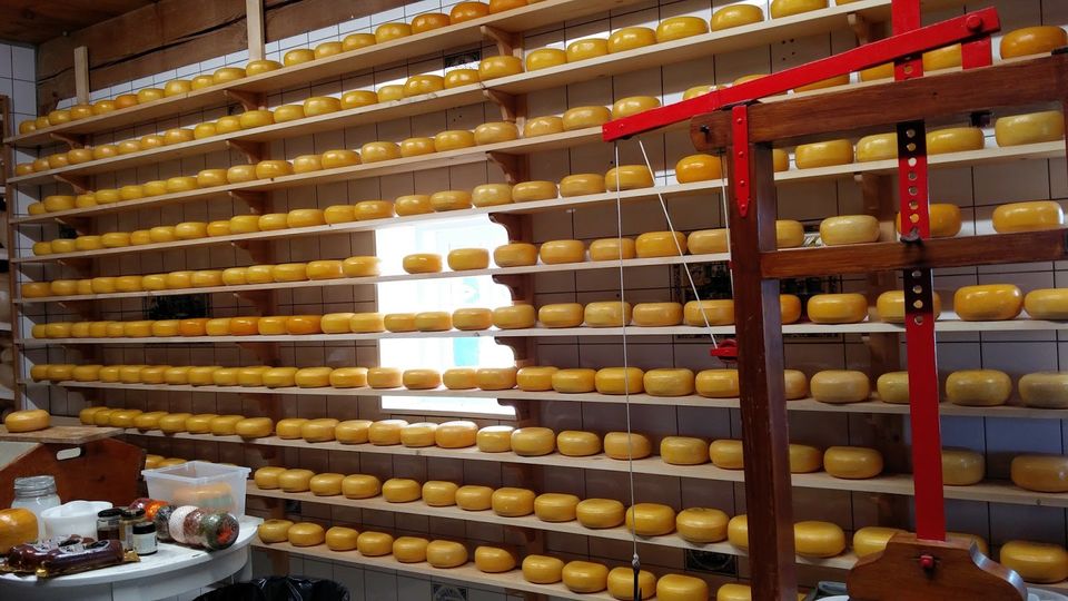Photo of An ode to windmills and cheese 8/15 by Nidhi Kamath