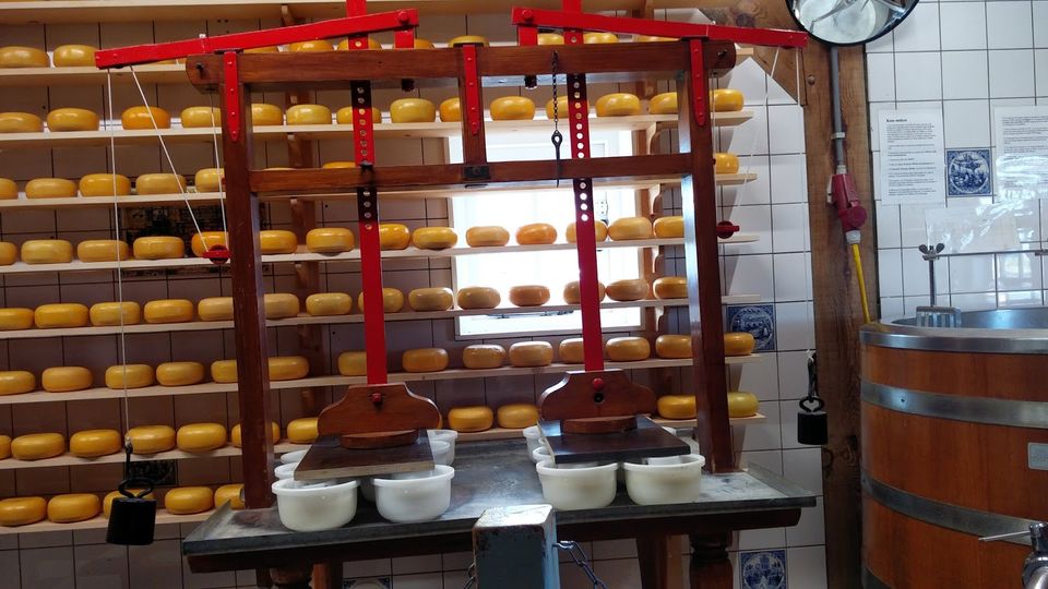 Photo of An ode to windmills and cheese 9/15 by Nidhi Kamath