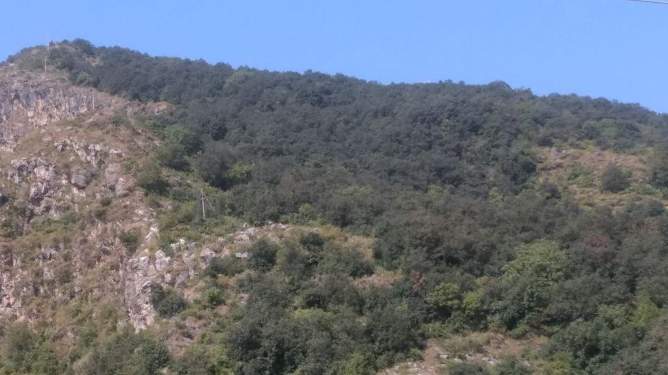 Photo of Love trekking? Karol-Ka-Tibba (Solan) & Pandava's Cave Are Waiting For You! 17/22 by Bhupender Singh