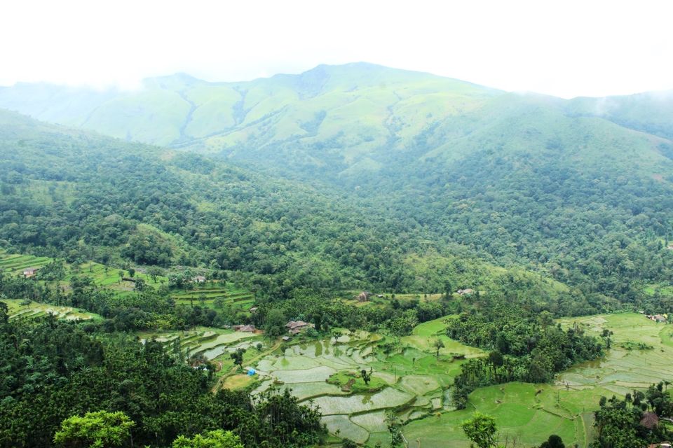 Photo of The Green Carpet that I Treaded on: My Trek to Kudremukha & Bavikonda Peaks 7/46 by Hrishikesh Baruah