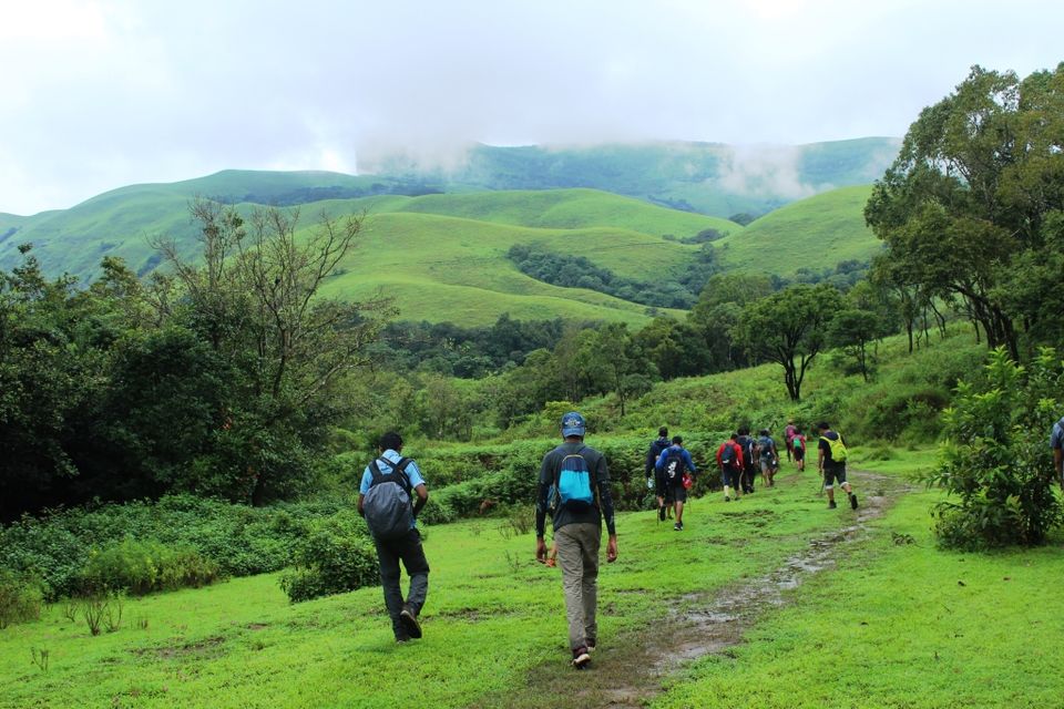 Photo of The Green Carpet that I Treaded on: My Trek to Kudremukha & Bavikonda Peaks 27/46 by Hrishikesh Baruah