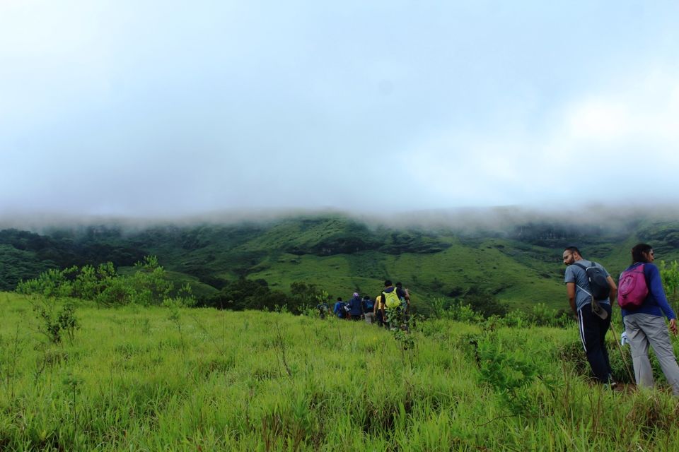 Photo of The Green Carpet that I Treaded on: My Trek to Kudremukha & Bavikonda Peaks 31/46 by Hrishikesh Baruah