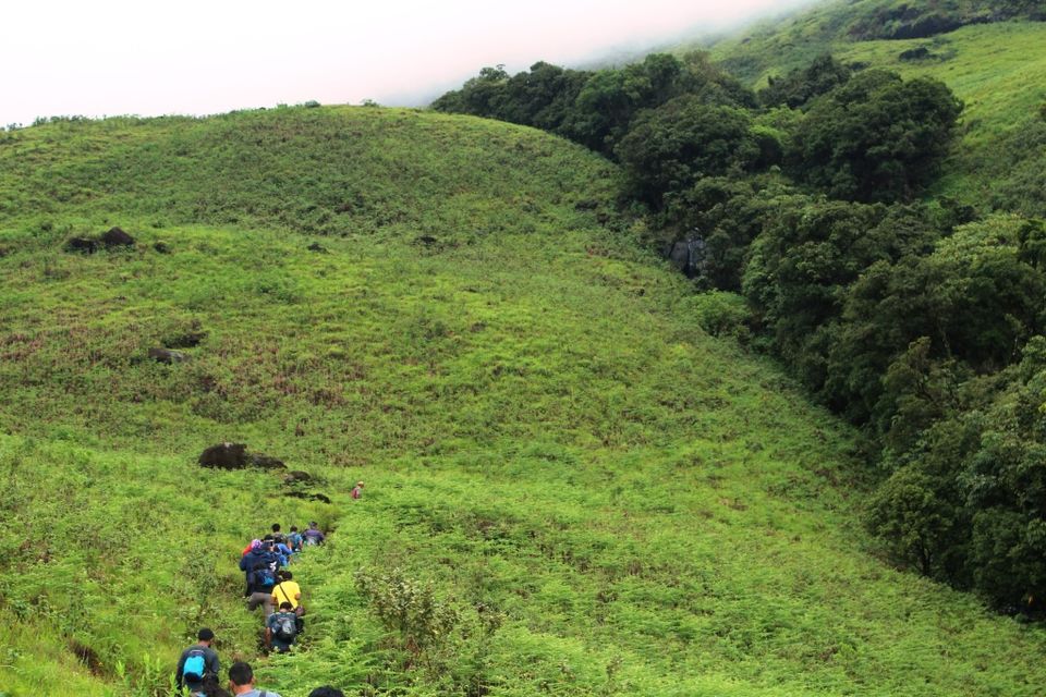 Photo of The Green Carpet that I Treaded on: My Trek to Kudremukha & Bavikonda Peaks 34/46 by Hrishikesh Baruah