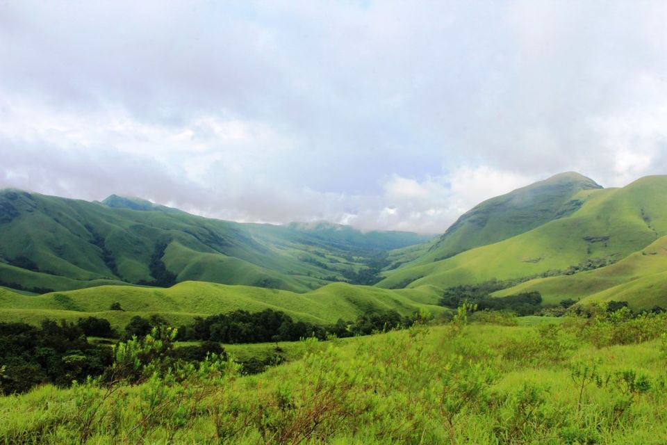 Photo of The Green Carpet that I Treaded on: My Trek to Kudremukha & Bavikonda Peaks 37/46 by Hrishikesh Baruah