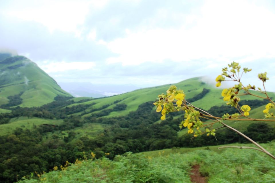 Photo of The Green Carpet that I Treaded on: My Trek to Kudremukha & Bavikonda Peaks 44/46 by Hrishikesh Baruah