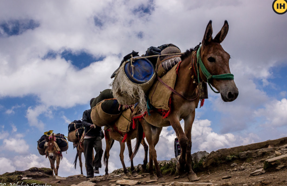 Photo of #TripotoTakeMeToHimalayas 5 mistakes that I made on my first trek which you wouldn't want to make 1/1 by vidhi bubna