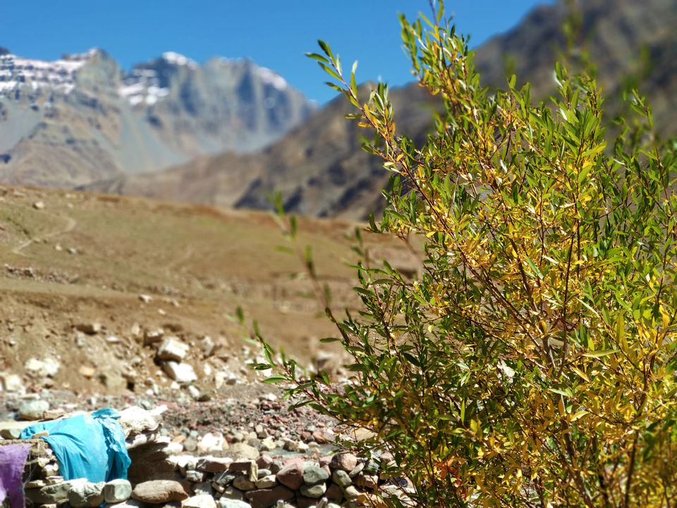 Photo of Fall colors of Pin Valley 2/8 by Notjustbackpacker