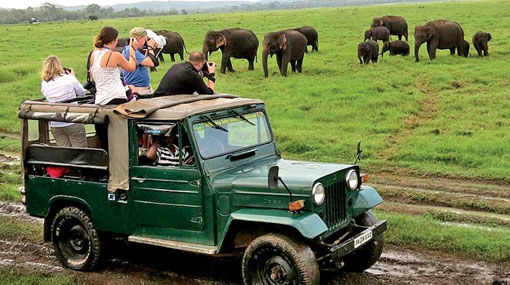 Photo of Positive predictions for Sri Lanka wildlife tourism 1/1 by Olly Kevin