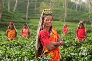 Photo of Travelling in India as a female solo traveller - GeekHippie 18/18 by Prachi Chouksey