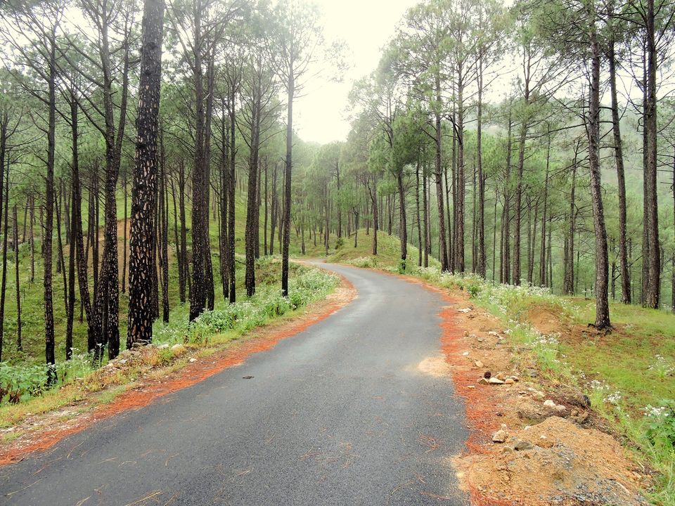 Photo of TravellingBulls 3/24 by Shubham Pokhriyal