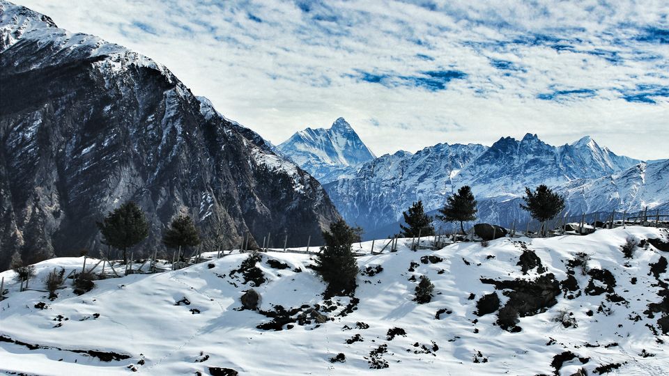 Photo of Awwwwwwwwwwli (Auli, Uttarakhand) 1/3 by Vipul & Swati