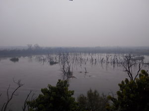 Dudhwa National Park 1/34 by Tripoto