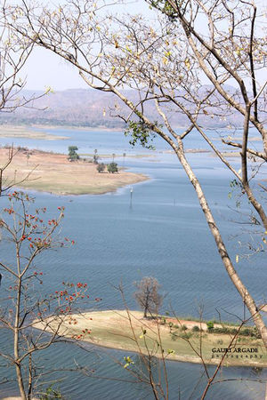The union territory - Dadra & Nagar Haveli & Daman