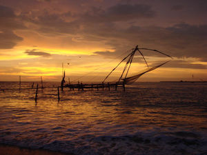 Fort Kochi 1/64 by Tripoto