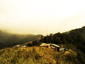 Nagaland – A wild adventure