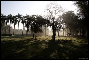 Lodi Gardens 1/4 by Tripoto