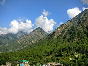When you want to be high in Parvati Valley, but on nature.