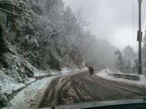 A Perilous Journey Home