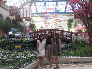 US Chronicles (Part 2): VEGAS it is!!!