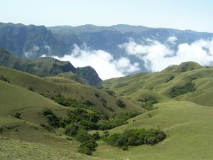 Colonial blues of the Nilgiri