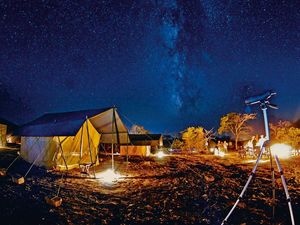 Adventures of Satpura Tiger Reserve~ The most unique of all the forests in India!