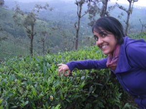 TANTEA 1/1 by Tripoto