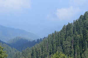 The Gems of Himachal -Dalhousie-Chamba-Khajjiar