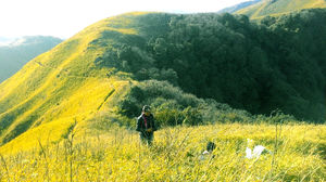 Dzukou Valley Trek, Nagaland