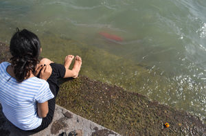 Triveni Ghat 1/7 by Tripoto